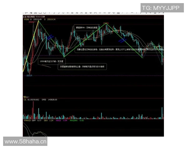 南京飞盘队与上海飞盘队赛后复盘分析及经验总结